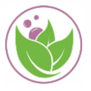 foamy care | عناية رغوة