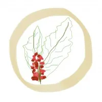 bsaten althuaq | بساتين الذوق