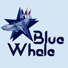 blue whale | بلو ويل
